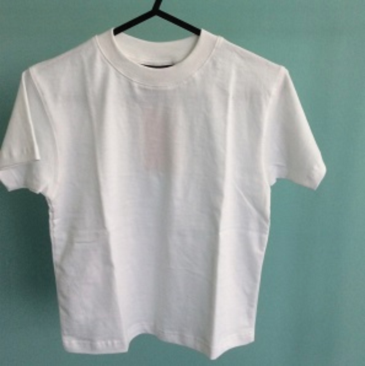 Aylesford Primary white PE T-shirt – Stitch-Tech